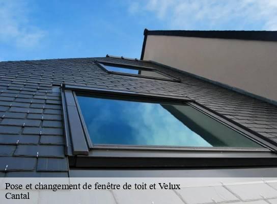 Pose et changement de fenêtre de toit et Velux 15 Cantal  SAS maison Peringale