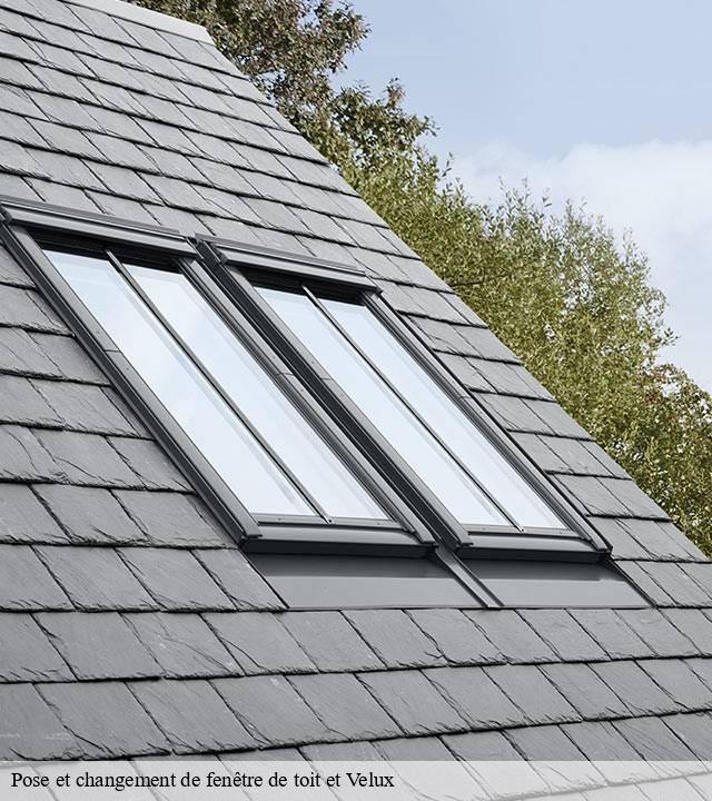 Pose et changement de fenêtre de toit et Velux 15 Cantal  SAS maison Peringale