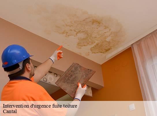 Intervention d'urgence fuite toiture  15 Cantal  SAS maison Peringale