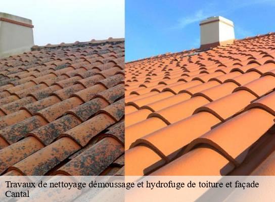 Travaux de nettoyage démoussage et hydrofuge de toiture et façade 15 Cantal  SAS maison Peringale