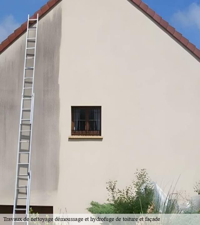 Travaux de nettoyage démoussage et hydrofuge de toiture et façade 15 Cantal  SAS maison Peringale