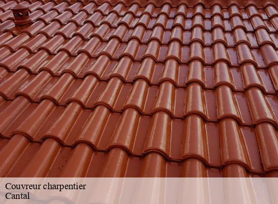 Couvreur charpentier 15 Cantal Logan Couverture