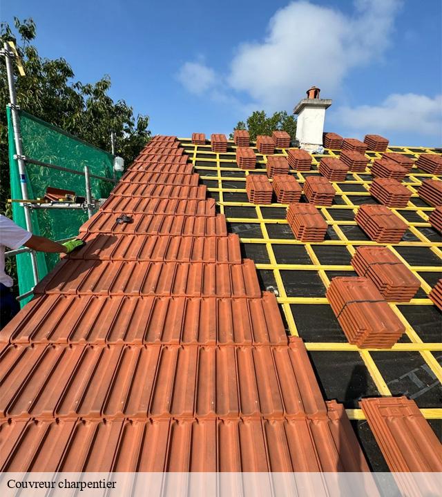 Couvreur charpentier 15 Cantal Logan Couverture