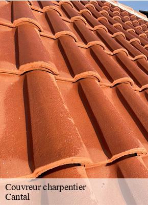 Couvreur charpentier 15 Cantal Logan Couverture