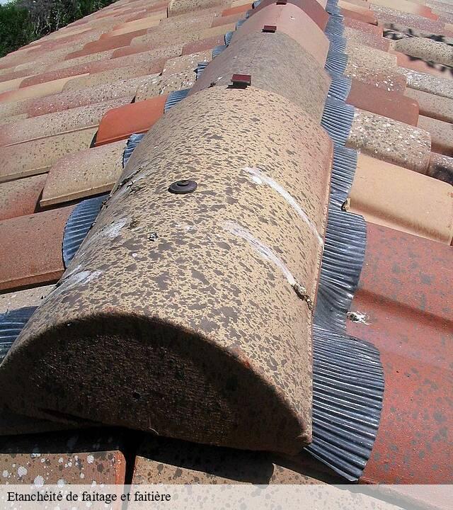 Etanchéité de faitage et faitière 15 Cantal  SAS maison Peringale