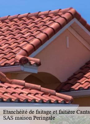 Etanchéité de faitage et faitière 15 Cantal  SAS maison Peringale