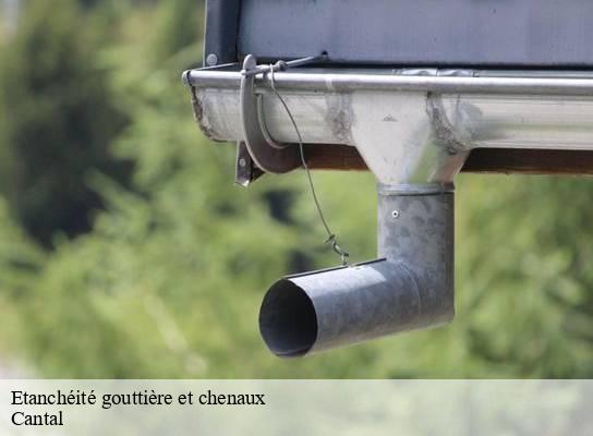 Etanchéité gouttière et chenaux 15 Cantal  SAS maison Peringale