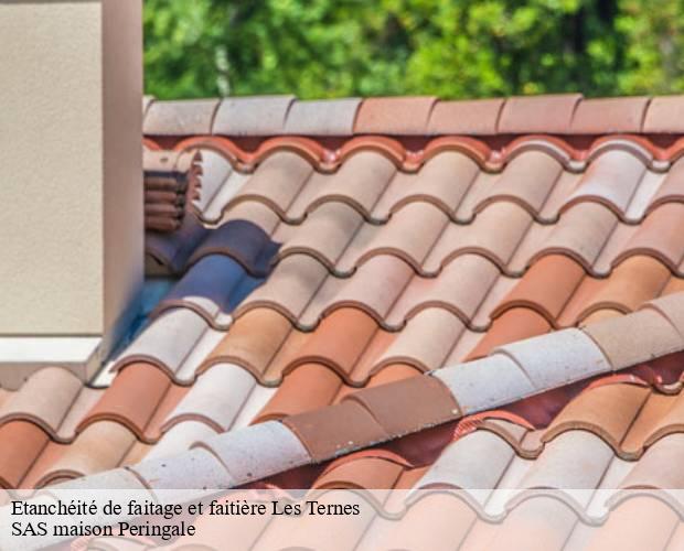 Etanchéité de faitage et faitière  les-ternes-15100 SAS maison Peringale