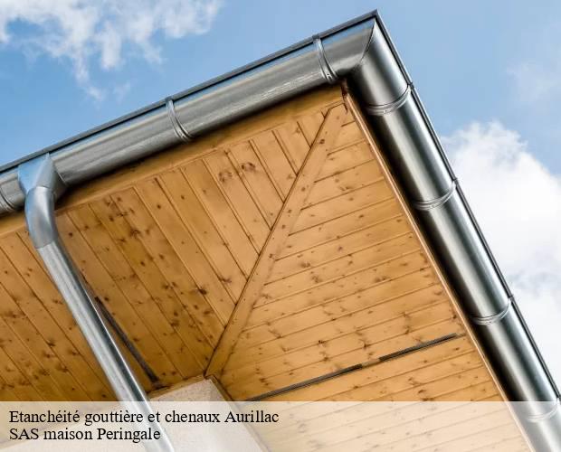 Etanchéité gouttière et chenaux  aurillac-15000 SAS maison Peringale