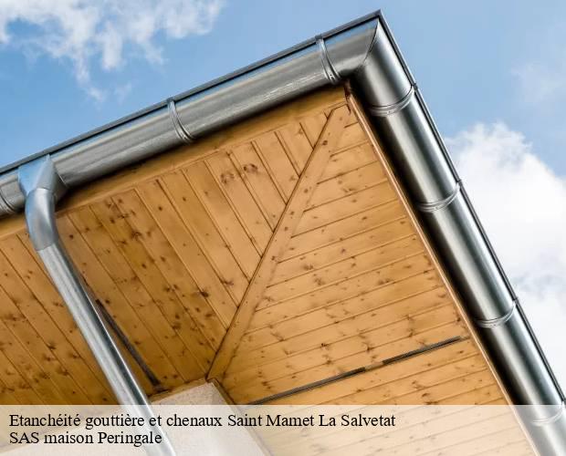 Etanchéité gouttière et chenaux  saint-mamet-la-salvetat-15220 SAS maison Peringale