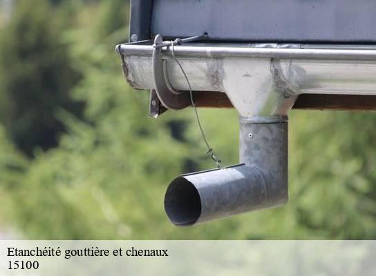 Etanchéité gouttière et chenaux  vedrines-saint-loup-15100 SAS maison Peringale