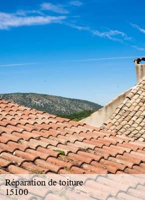 Réparation de toiture  vedrines-saint-loup-15100 SAS maison Peringale