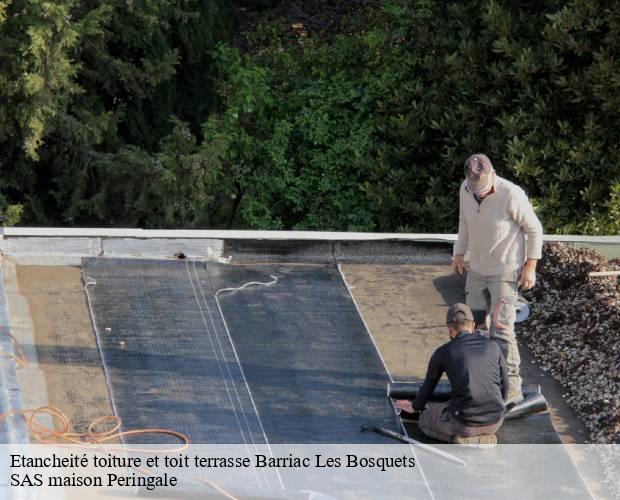 Etancheité toiture et toit terrasse  barriac-les-bosquets-15700 SAS maison Peringale