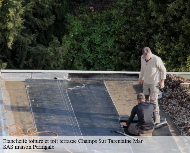 Etancheité toiture et toit terrasse  champs-sur-tarentaine-mar-15270 SAS maison Peringale