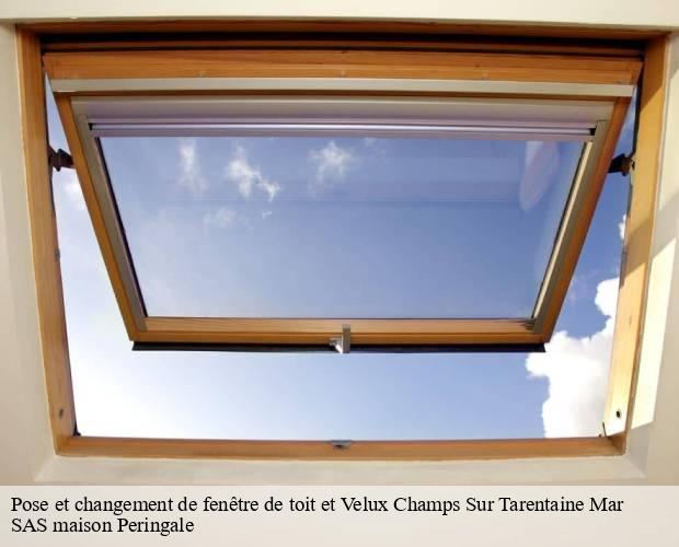 Pose et changement de fenêtre de toit et Velux  champs-sur-tarentaine-mar-15270 SAS maison Peringale