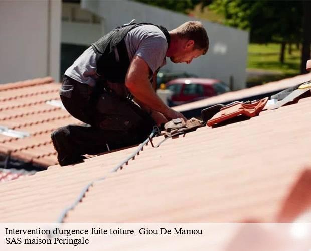 Intervention d'urgence fuite toiture   giou-de-mamou-15130 SAS maison Peringale