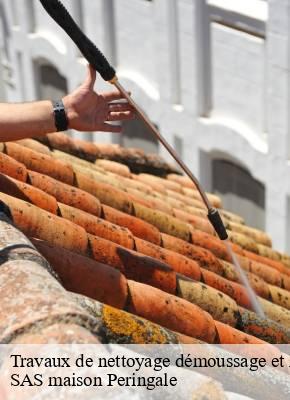 Travaux de nettoyage démoussage et hydrofuge de toiture et façade  allanche-15160 SAS maison Peringale