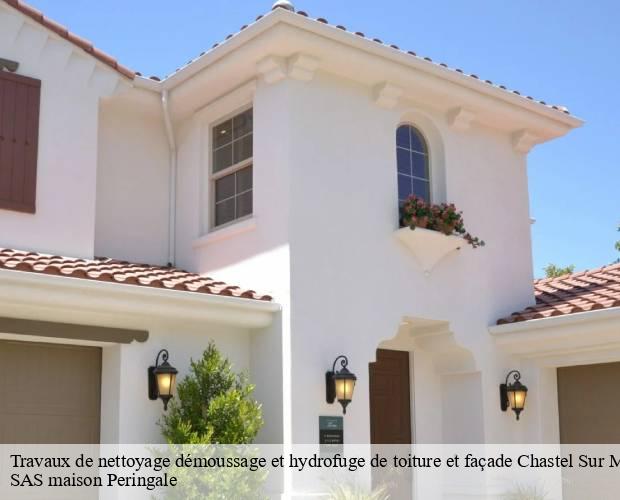 Travaux de nettoyage démoussage et hydrofuge de toiture et façade  chastel-sur-murat-15300 SAS maison Peringale