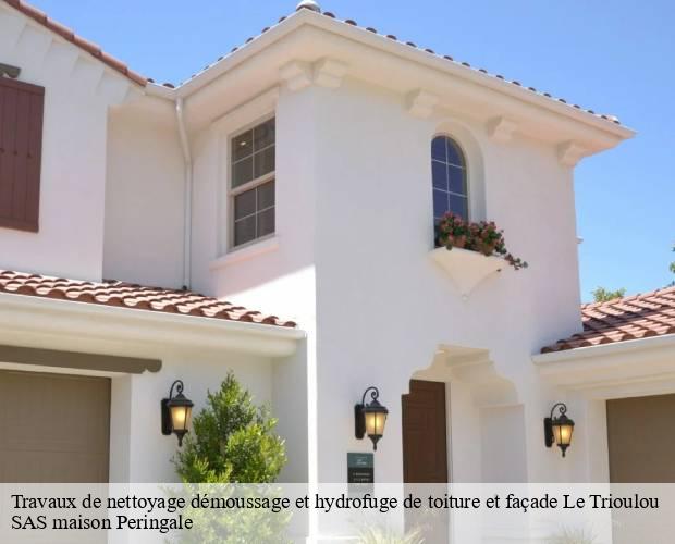 Travaux de nettoyage démoussage et hydrofuge de toiture et façade  le-trioulou-15600 SAS maison Peringale