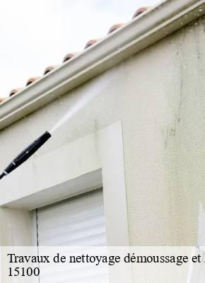 Travaux de nettoyage démoussage et hydrofuge de toiture et façade  vedrines-saint-loup-15100 SAS maison Peringale